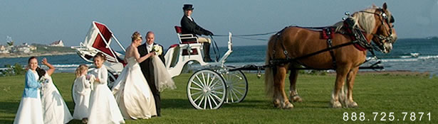 Horse & Carriage